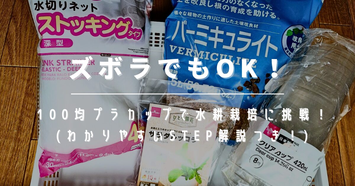 ズボラ　ルッコラ　水耕栽培　100均