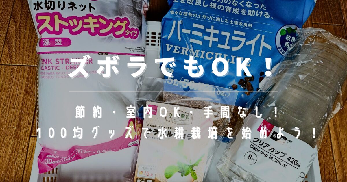 室内でもOK！ズボラさん向け100均水耕栽培の始め方【節約にも◎】