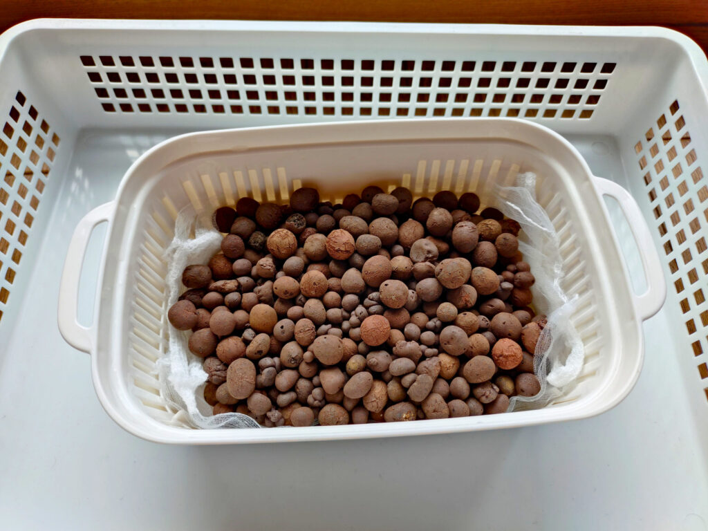 ズボラでもOK!節約にもぴったり♪100均グッズでベビーリーフ水耕栽培スタート【おうち家庭菜園⑤】