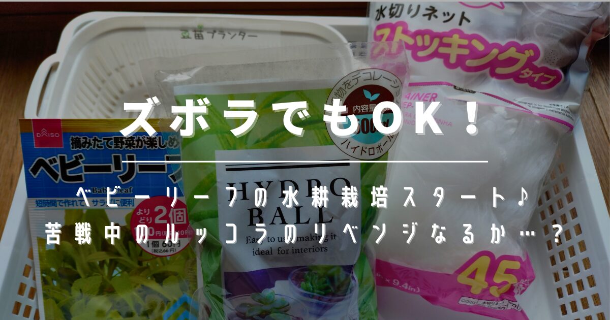 ズボラでもOK！節約にもぴったり♪100均グッズでベビーリーフ水耕栽培スタート【おうち家庭菜園⑤】